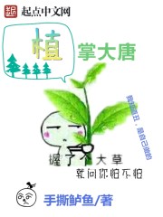 欲擒故纵应不许